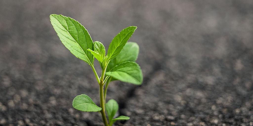 Resilienz_KI generiert