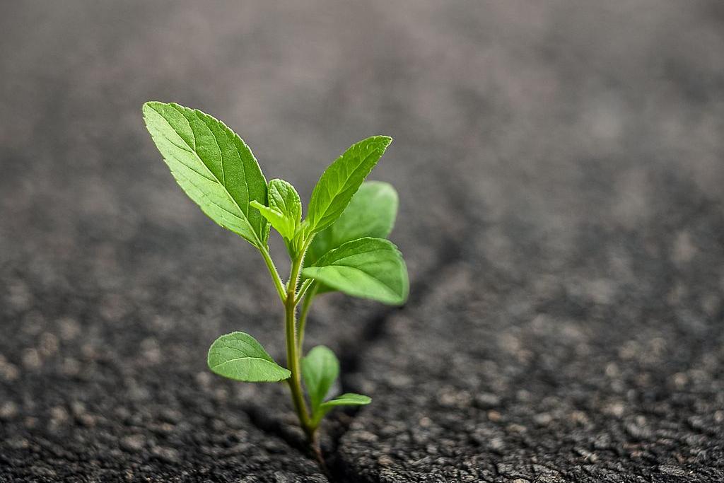 Resilienz_KI generiert