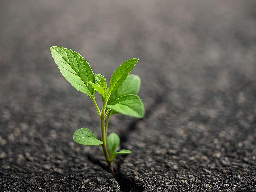 Resilienz_KI generiert